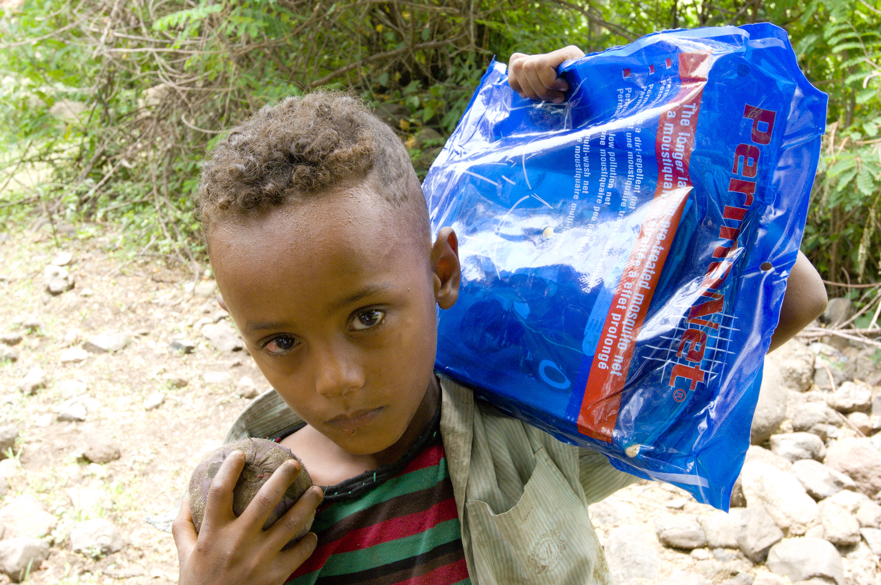 A small boy carries a packaged bednet. 